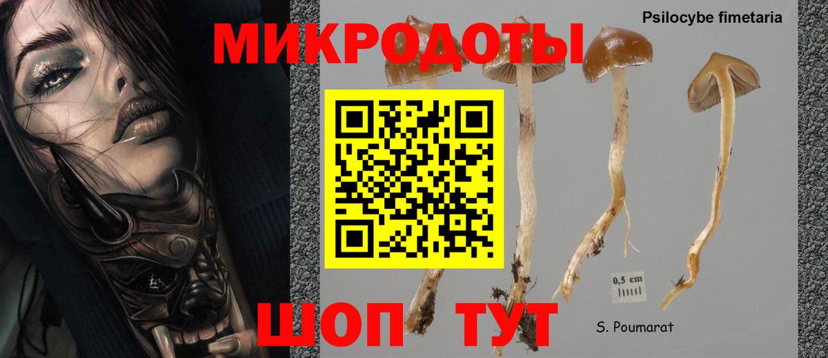 Галлюциногенные грибы прущие грибы Десногорск